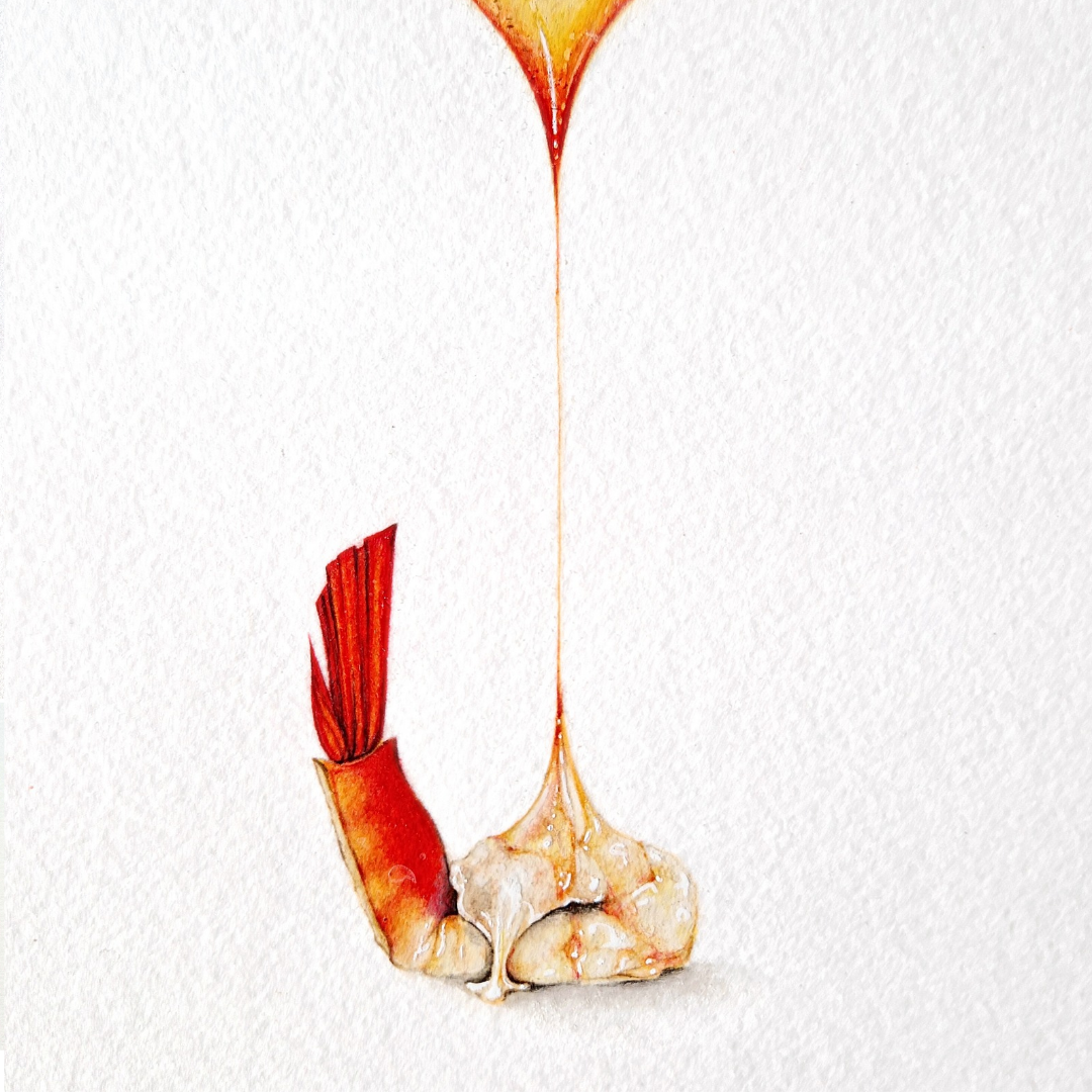 20241004_114404_0000