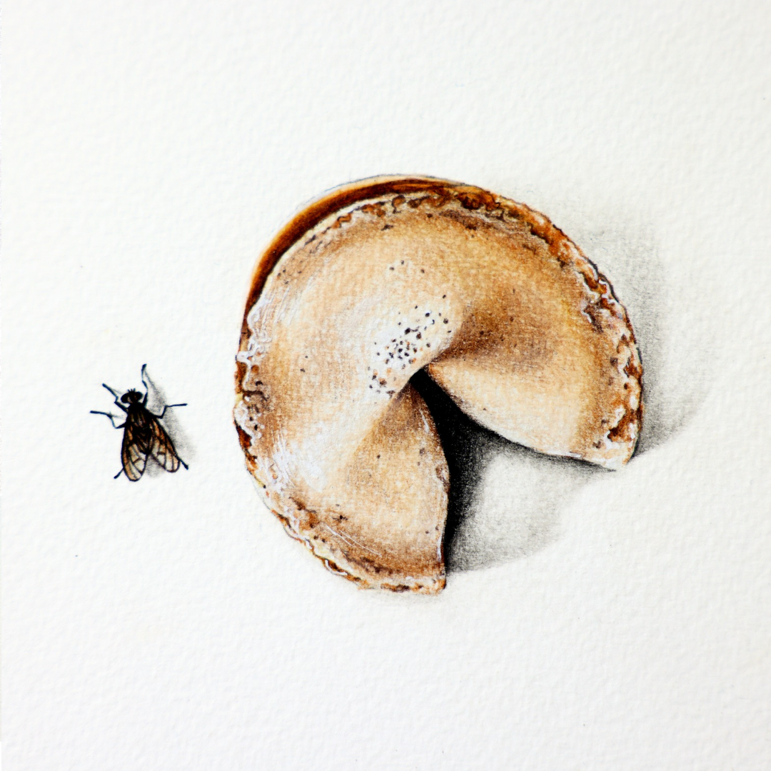 20241004_114452_0000