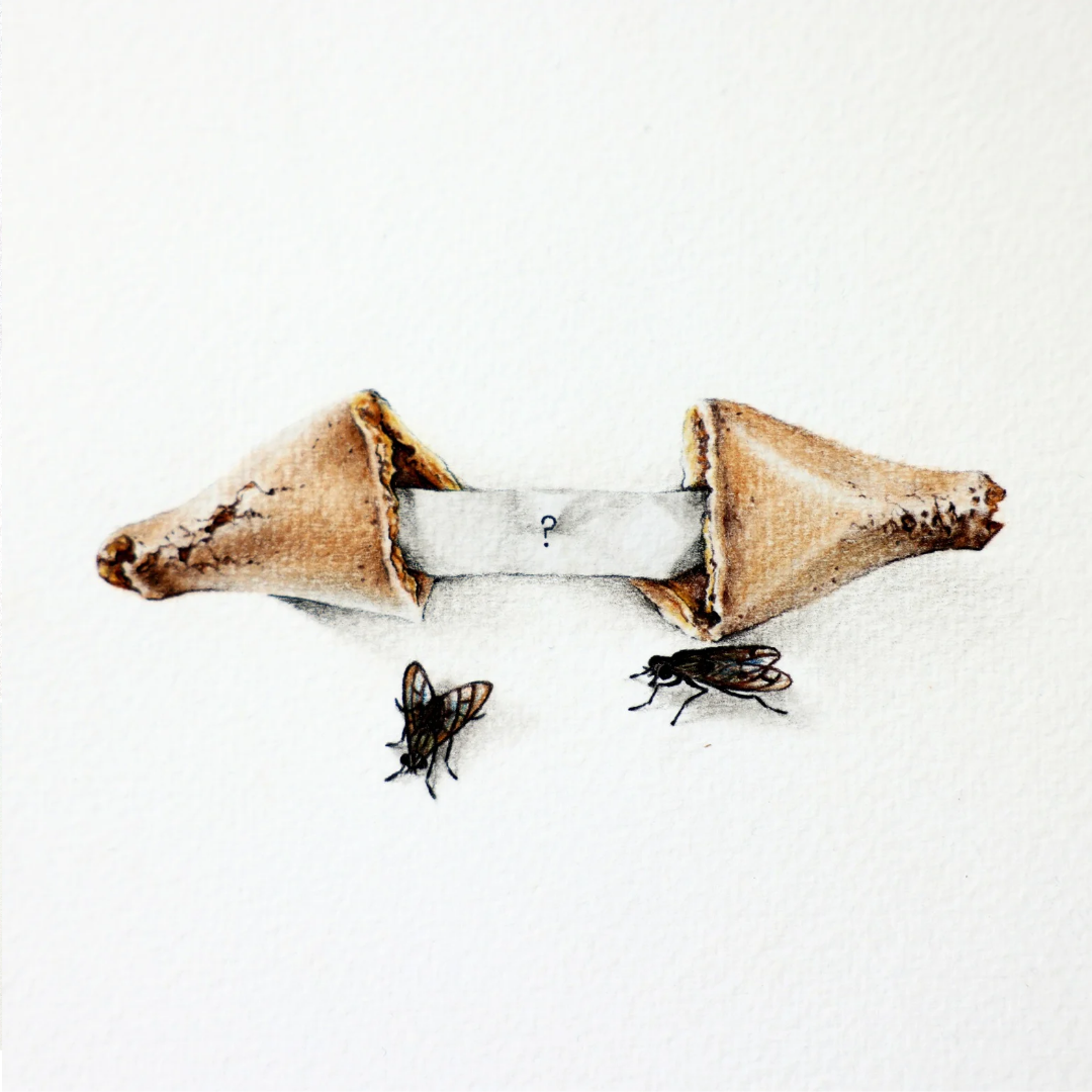 20241004_114611_0000